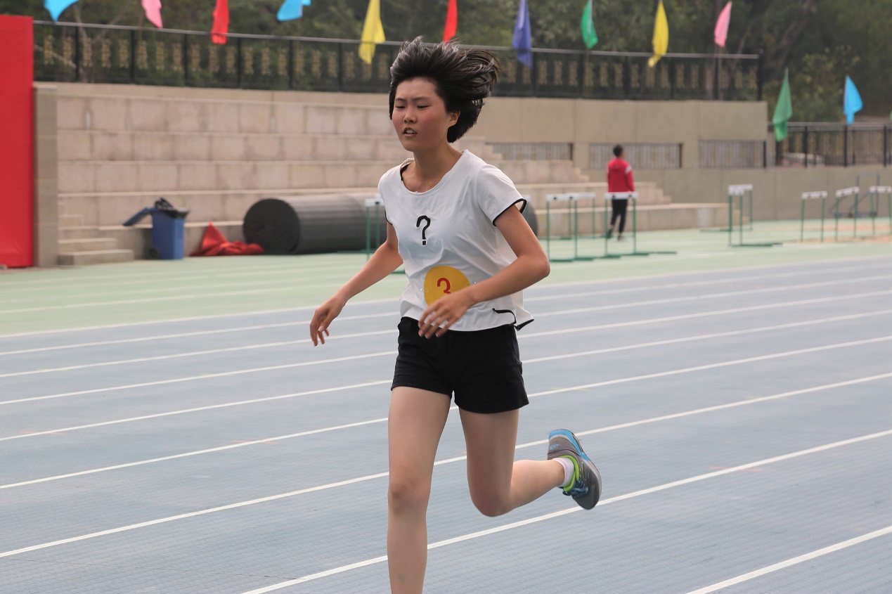 image005.jpg image005.jpg